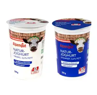 Lidl Naturjoghurt versch. Sorten Lidl Angebot