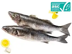 Lidl Frischer Wolfsbarsch Lidl Angebot
