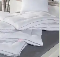 Matratzen Concord Vierjahreszeiten-Steppbett Angebot