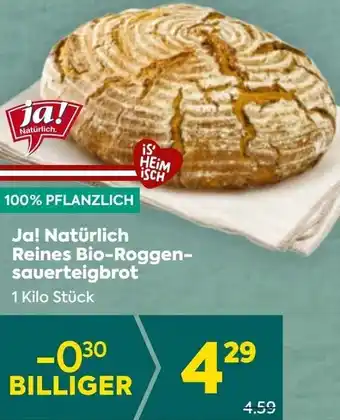 Billa Reines Bio-Roggen- sauerteigbrot Angebot