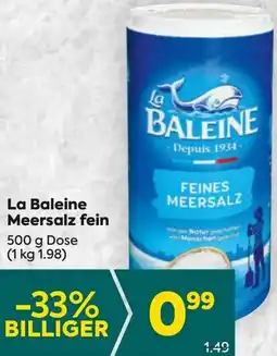 Billa Meersalz fein Angebot