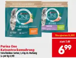 Interspar Katzentrockennahrung Angebot