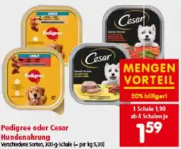 Interspar Hundenahrung Angebot