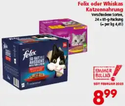Interspar Katzennahrung Angebot