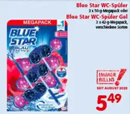 Interspar WC-Spüler Angebot