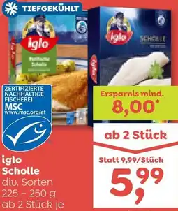 ADEG Scholle Angebot