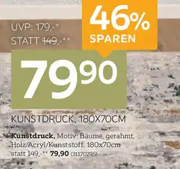 XXXLutz Kunstdruck Angebot