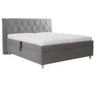 XXXLutz POLSTERBETT 263801749S XXXLutz Angebot