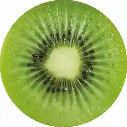 Möbelix Sitzkissen „Fruits“ 32120026 Möbelix Angebot