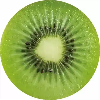 Möbelix Sitzkissen „Fruits“ 32120026 Möbelix Angebot