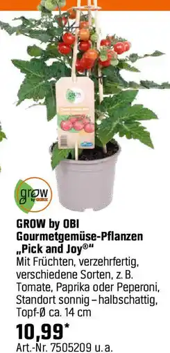OBI Gourmetgemüse-Pflanzen Angebot