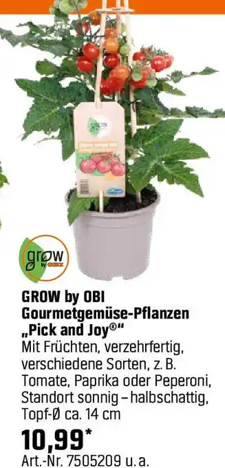 OBI Gourmetgemüse-Pflanzen Angebot