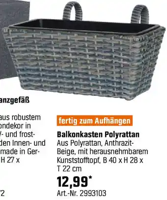 OBI Balkonkasten Polyrattan Angebot