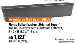 OBI Florus Balkonkasten Original Super Angebot