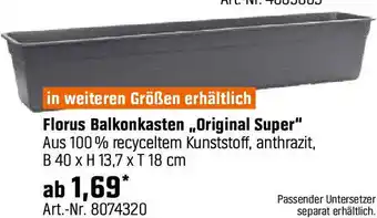 OBI Florus Balkonkasten Original Super Angebot
