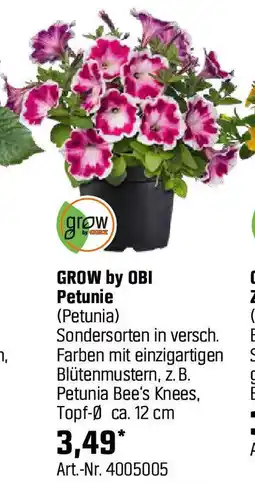 OBI Petunie Angebot