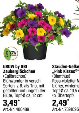 OBI Zauberglöckchen Angebot