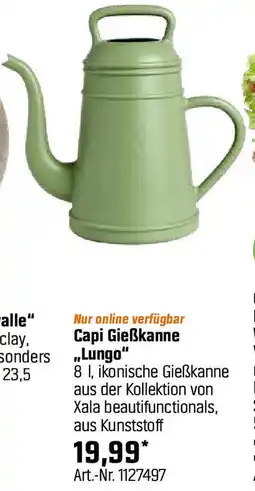 OBI Capi Gieẞkanne Lungo Angebot