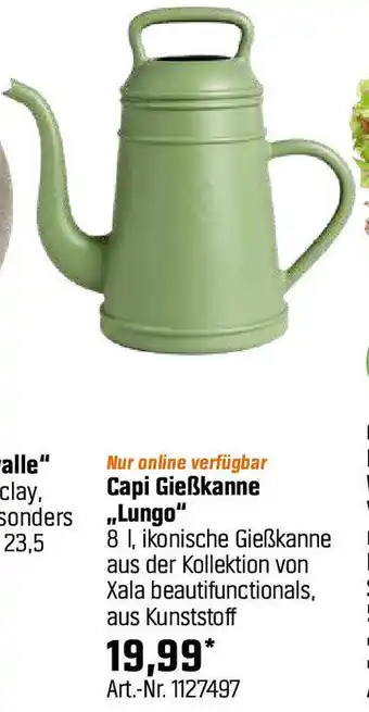 OBI Capi Gieẞkanne Lungo Angebot
