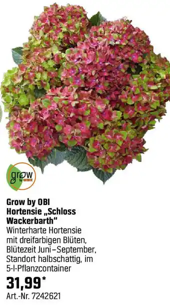 OBI Hortensie Schloss Wackerbarth Angebot