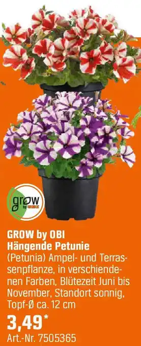OBI Hängende Petunie Angebot