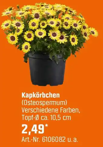OBI Kapkörbchen Angebot
