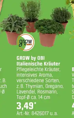 OBI Italienische Kräuter Angebot