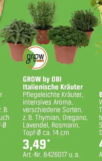OBI Italienische Kräuter Angebot