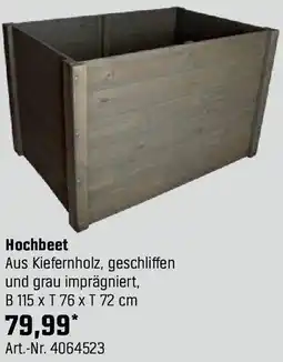 OBI Hochbeet Angebot