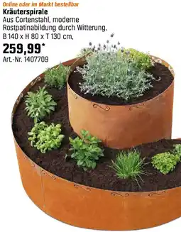 OBI Kräuterspirale Angebot