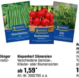 OBI Kiepenkerl Sämereien Angebot