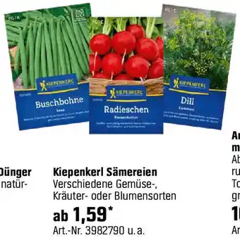 OBI Kiepenkerl Sämereien Angebot