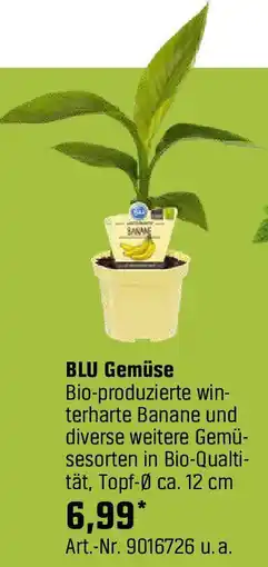 OBI Gemüse Angebot