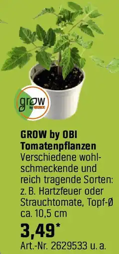 OBI Tomatenpflanzen Angebot