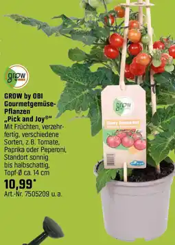 OBI Gourmetgemüse- Pflanzen Angebot
