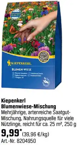 OBI Blumenwiese-Mischung Angebot