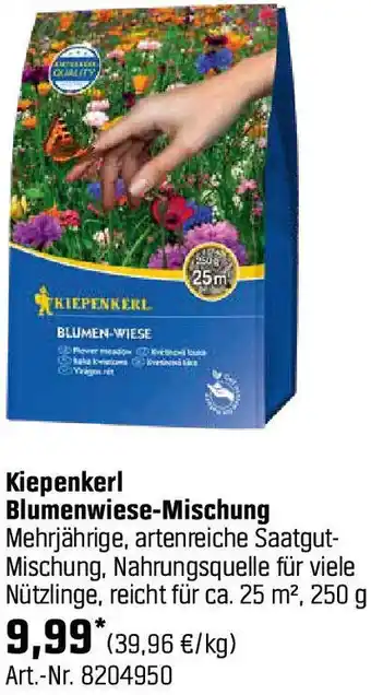 OBI Blumenwiese-Mischung Angebot