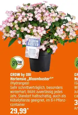 OBI Hortensie Bloombuster Angebot
