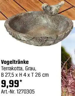 OBI Vogeltränke Angebot