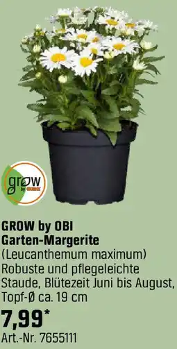 OBI Garten-Margerite Angebot