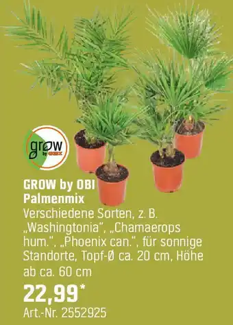 OBI Palmenmix Angebot