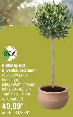 OBI Olivenbaum-Stamm Angebot