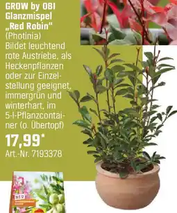OBI Glanzmispel Red Robin Angebot
