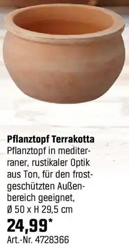 OBI Pflanztopf Terrakotta Angebot