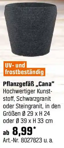 OBI Pflanzgefäß Cana Angebot
