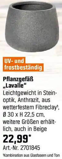 OBI Pflanzgefäß Lavalle Angebot