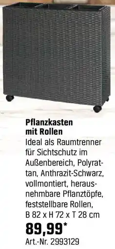 OBI Pflanzkasten mit Rollen Angebot