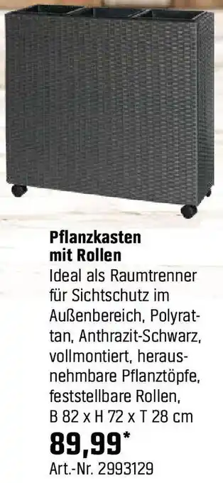 OBI Pflanzkasten mit Rollen Angebot