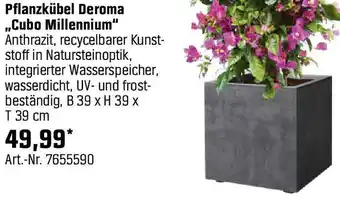 OBI Pflanzkübel Deroma Cubo Millennium Angebot
