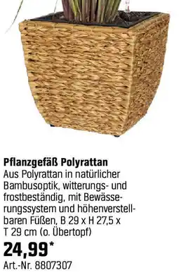 OBI Pflanzgefäß Polyrattan Angebot